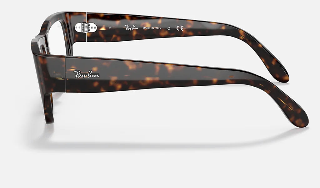 Nomad Optics