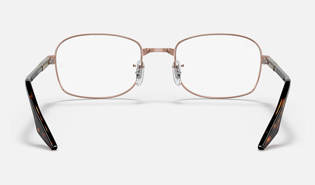 RB3690V Optics